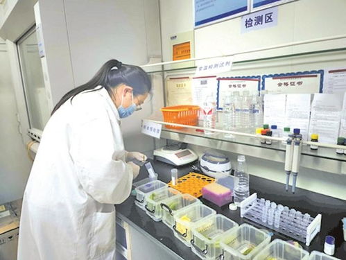 無錫農(nóng)貿(mào)市場實現(xiàn)快檢全覆蓋，上半年檢測90多萬批次合格率超99%